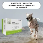 Pharma Cinque Pet Vigorben 60 tablets - dietary supplement for dogs and cats to support muscle health