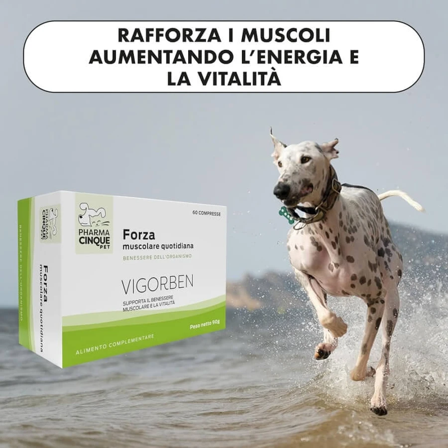 Pharma Cinque Pet Vigorben 60 tablets - dietary supplement for dogs and cats to support muscle health