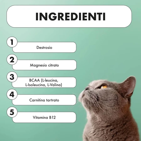 Pharma Cinque Pet Vigorben 60 tablets - dietary supplement for dogs and cats to support muscle health