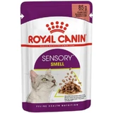 Royal Canin Sensory Smell Bites in Sauce - Complete Food for Adult Cats, 85 g