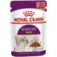 Royal Canin Sensory Smell Bites en sauce - Aliment complet pour chats adultes, 85 g