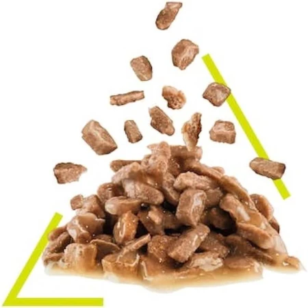 Royal Canin Sensory Smell Bites en salsa - Alimento completo para gatos adultos, 85 g