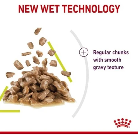 Royal Canin Sensory Smell Bites en salsa - Alimento completo para gatos adultos, 85 g