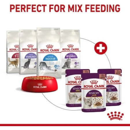 Royal Canin Sensory Smell Bites en salsa - Alimento completo para gatos adultos, 85 g