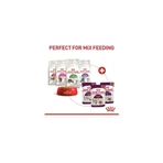 Royal Canin Sensory Smell Bites en salsa - Alimento completo para gatos adultos, 85 g