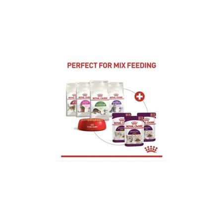 Royal Canin Sensory Smell Bites en salsa - Alimento completo para gatos adultos, 85 g