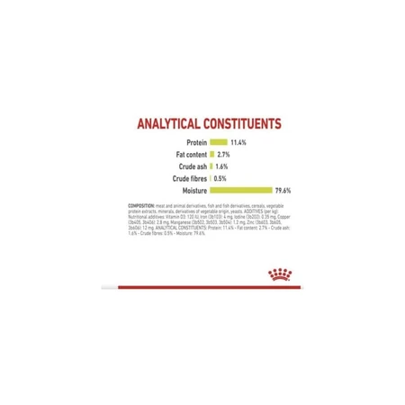 Royal Canin Sensory Smell Bites en salsa - Alimento completo para gatos adultos, 85 g
