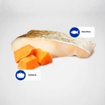 Farmina N&amp;d Ocean Puppy Kabeljau und Kürbis – Alleinfuttermittel für Welpen und säugende Hündinnen, 140 g