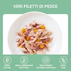 Schesir Complements : filets de thon et de sériole enrobés de gelée - Aliment complet pour chat, 70 g