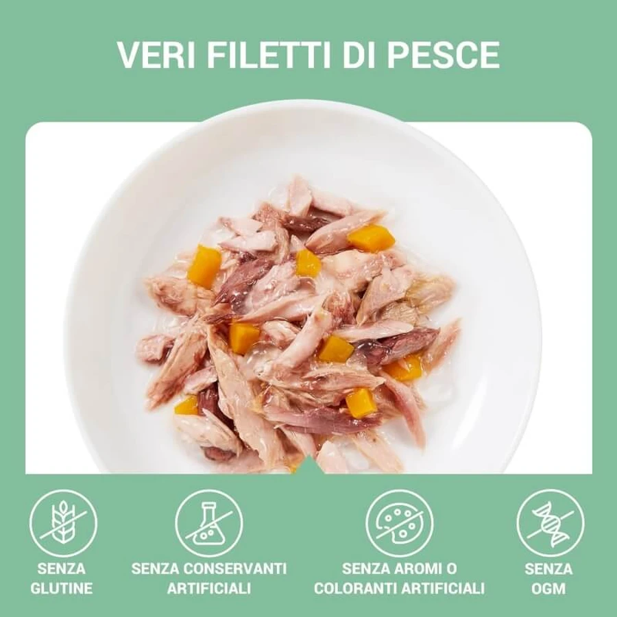 Schesir Complements : filets de thon et de sériole enrobés de gelée - Aliment complet pour chat, 70 g