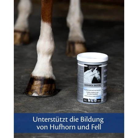Equality Equistro Kerabol Biotin - Supplementary Feed for Horse Hooves, 1000 g