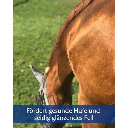 Equality Equistro Kerabol Biotin - Supplementary Feed for Horse Hooves, 1000 g
