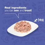 Natural Code 08 fileuri de ton – hrană completă pentru pisici adulte, 85 g