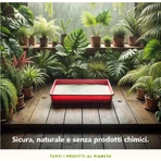 Litière naturelle pour chat Almo Nature - Litière à base de plantes, anti-odeurs, biodégradable et sans poussière, 2,27 kg
