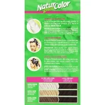Renee Blanche Natur Green Color – vopsea de păr nr. 3n, castaniu închis