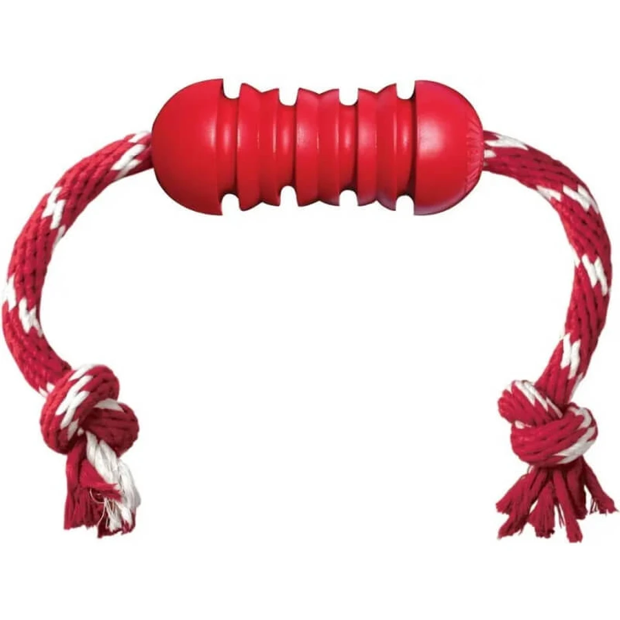 Kong Dental with Rope (Medium) - Dog Toy