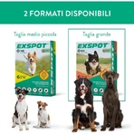 MSD Animal Health Exspot - 6 spot-on parasite prevention pipettes for dogs, 2 ml each