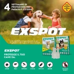 MSD Animal Health Exspot - 6 spot-on parasite prevention pipettes for dogs, 2 ml each