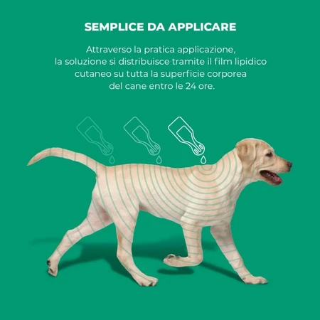 MSD Animal Health Exspot - 6 spot-on parasite prevention pipettes for dogs, 2 ml each