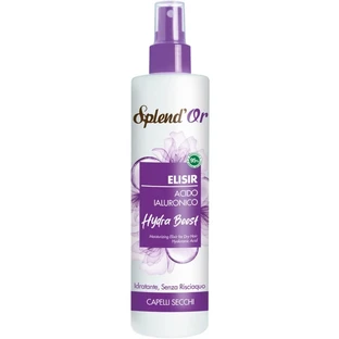 Splend ou Hydra Boost - Élixir hydratant sans rinçage pour cheveux secs, 200 ml