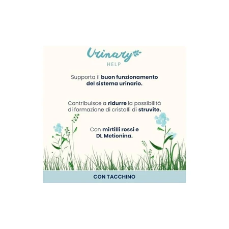 Almo Nature Urinary Help Truthahn – Alleinfuttermittel in Nassform für erwachsene Katzen mit empfindlichem Harntrakt, 70 g