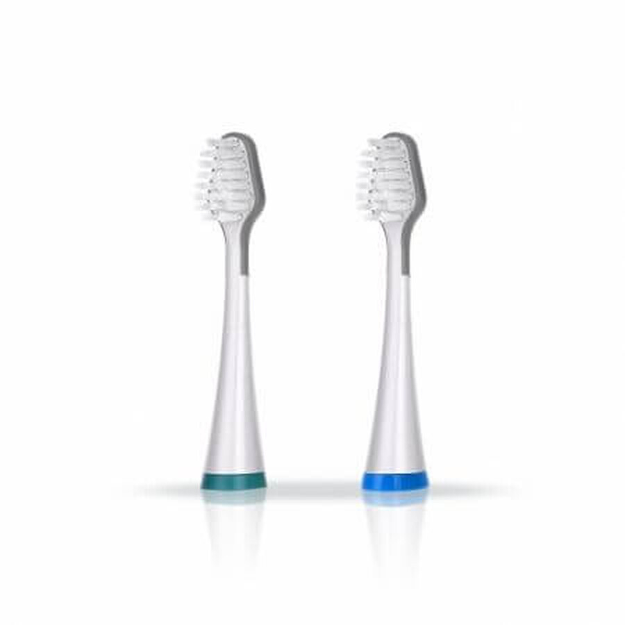 Buy Refill pack sonic brush, 2 pieces, Dr. Mayer Refill pack sonic brush, 2 pieces, Dr. Mayer