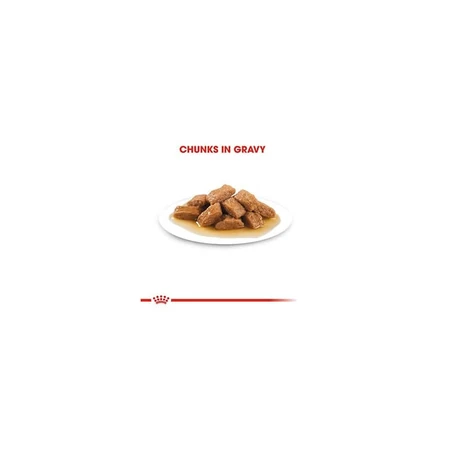 Royal Canin Medium Adult - Aliment complet pour chiens adultes de taille moyenne, 140 g