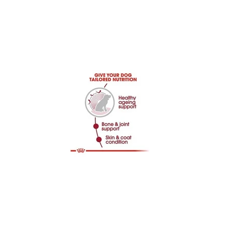 Royal Canin Medium Adult - Aliment complet pour chiens adultes de taille moyenne, 140 g