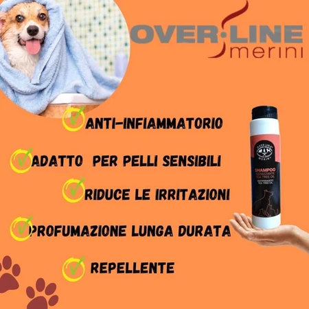 Maurizio Merini Over Line – Desinfektionsshampoo für Haustiere, 250 ml