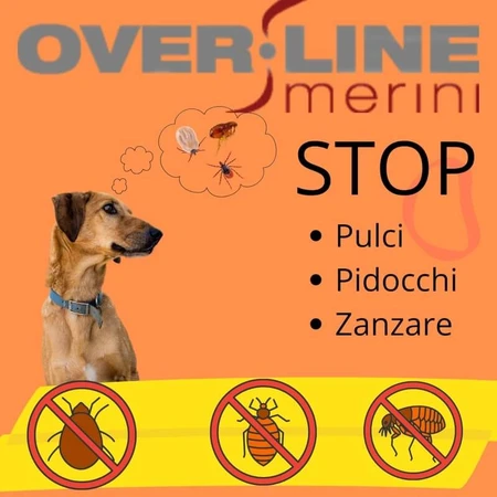 Maurizio Merini Over Line – Desinfektionsshampoo für Haustiere, 250 ml