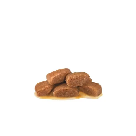Royal Canin Urinary S-O Moderate Calorie – Alleinfuttermittel für Katzen mit Struvit-Steinen, 12 Beutel à 85 g