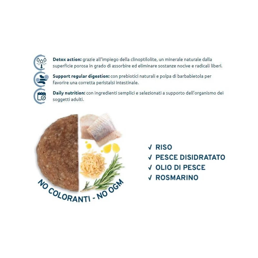 Forza10 Maintenance Alle maten Volwassen vis & rijst - Compleet hondenvoer, 12 kg