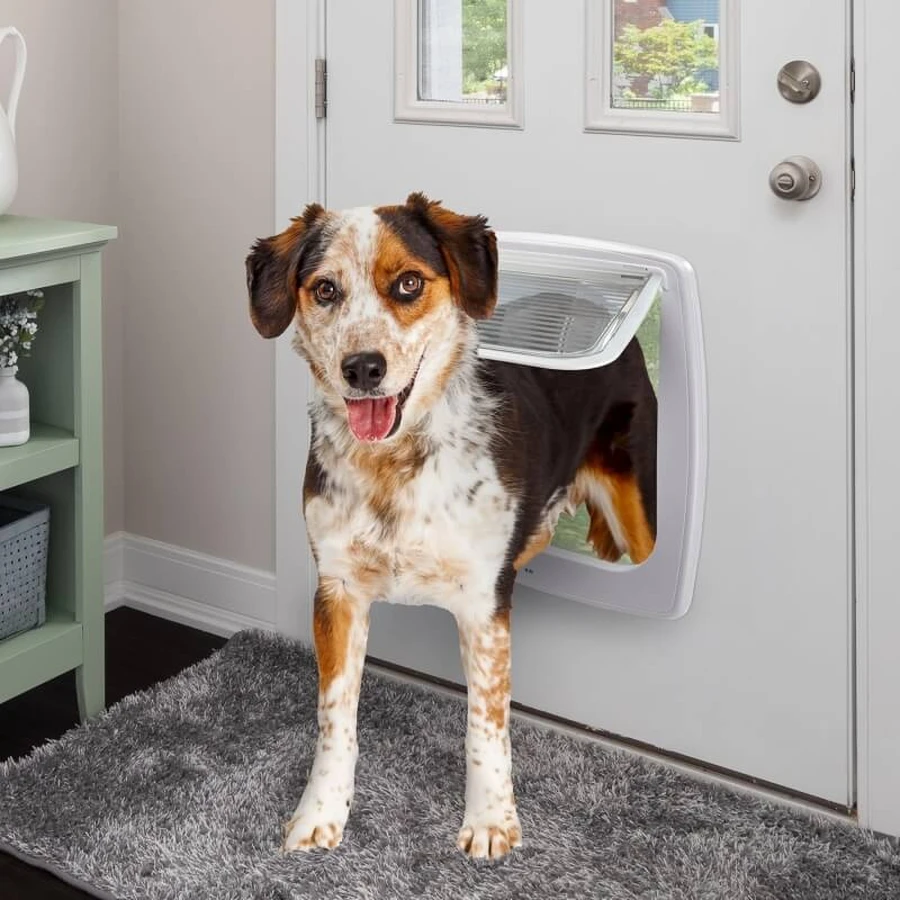 Ferplast Swing 15 Weiß – Schwingtür für mittelgroße bis große Hunde mit Tunnel und 4-Wege-Verriegelungsmechanismus, 41,2 x 9,6 x H 48,2 cm