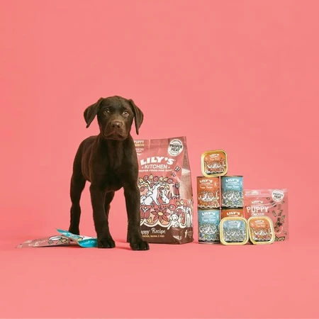 Lily's Kitchen Puppy Recipe: Chicken, Salmon, and Peas - Complete Dog Food, 7 kg