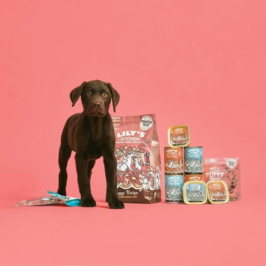 Lily's Kitchen Puppy Recipe: Chicken, Salmon, and Peas - Complete Dog Food, 7 kg