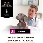 Purina Pro Plan Diet Urinary – Compleet dieetvoer voor volwassen honden met struviet en urinewegproblemen, 3 kg