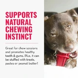 Barrita dental Kong pequeña - Juguete para perros