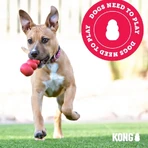 Kong Small Dental Stick - Hondenspeeltje