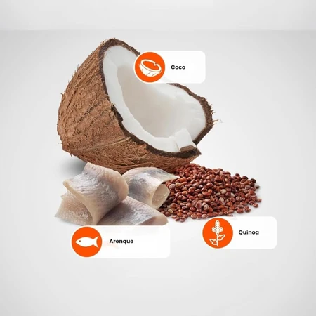 Farmina N&amp;d Quinoa Skin &amp; Coat Arenque y Coco - Alimento completo para gatos adultos con intolerancias alimentarias, 80 g