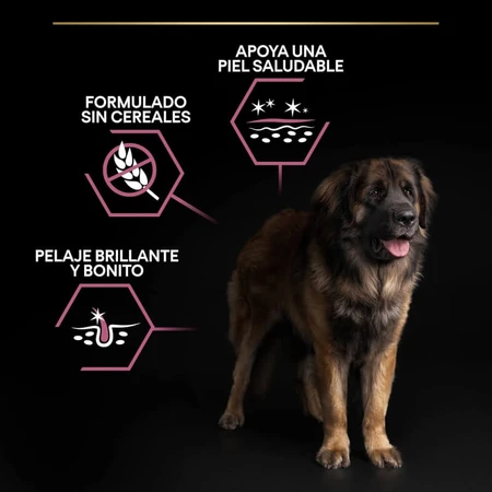 Purina Pro Plan Optiderma Lachs – Alleinfuttermittel für ausgewachsene, große, kräftige Hunde mit empfindlicher Haut, 14 kg