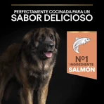 Purina Pro Plan Optiderma Lachs – Alleinfuttermittel für ausgewachsene, große, kräftige Hunde mit empfindlicher Haut, 14 kg