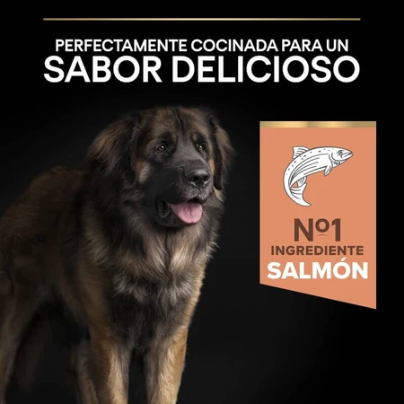 Purina Pro Plan Optiderma Lachs – Alleinfuttermittel für ausgewachsene, große, kräftige Hunde mit empfindlicher Haut, 14 kg