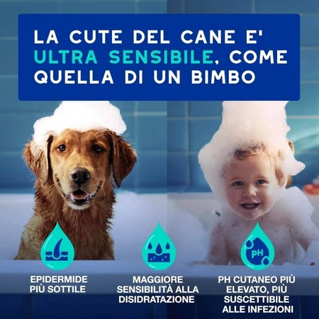 Ceva Animal Health Douxo, S.p.A. - Hydraterende anti-geur shampoo voor honden, 250 ml