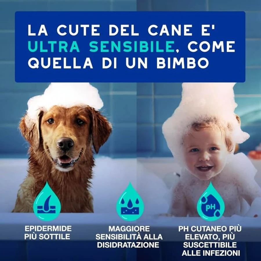 Ceva Animal Health Douxo, S.p.A. - Hydraterende anti-geur shampoo voor honden, 250 ml