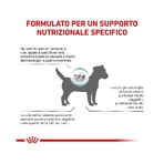 Royal Canin Anallergic Small Dog – Alleinfuttermittel für kleine Hunde mit Nahrungsmittelunverträglichkeiten, 1,5 kg
