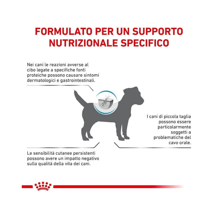 Royal Canin Anallergic Small Dog – Alleinfuttermittel für kleine Hunde mit Nahrungsmittelunverträglichkeiten, 1,5 kg