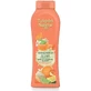 Tulipan Negro Mandarijn &amp; Limoen - Badgel 650 ml