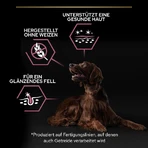 Purina Pro Plan Adult Large Athletic Sensitive Skin Salmon - Compleet voer voor volwassen honden met een gevoelige huid, 14 kg