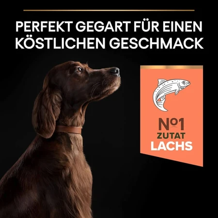 Purina Pro Plan Adult Large Athletic Sensitive Skin Salmon - Compleet voer voor volwassen honden met een gevoelige huid, 14 kg