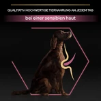 Purina Pro Plan Adult Large Athletic Sensitive Skin Salmon - Compleet voer voor volwassen honden met een gevoelige huid, 14 kg